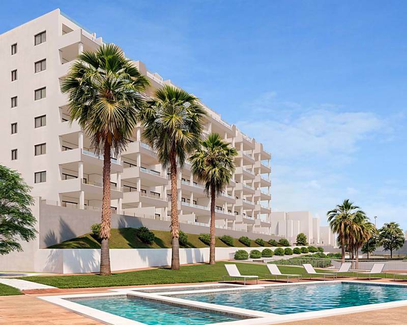 apartment - Neubauten - San Miguel de Salinas - San Miguel de Salinas