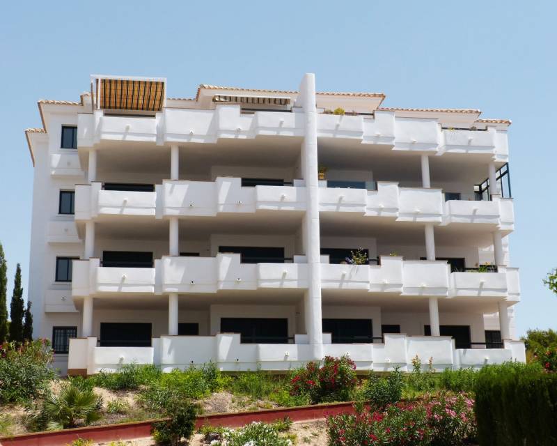 apartment - Nueva construcción  - Orihuela Costa - Orihuela Costa