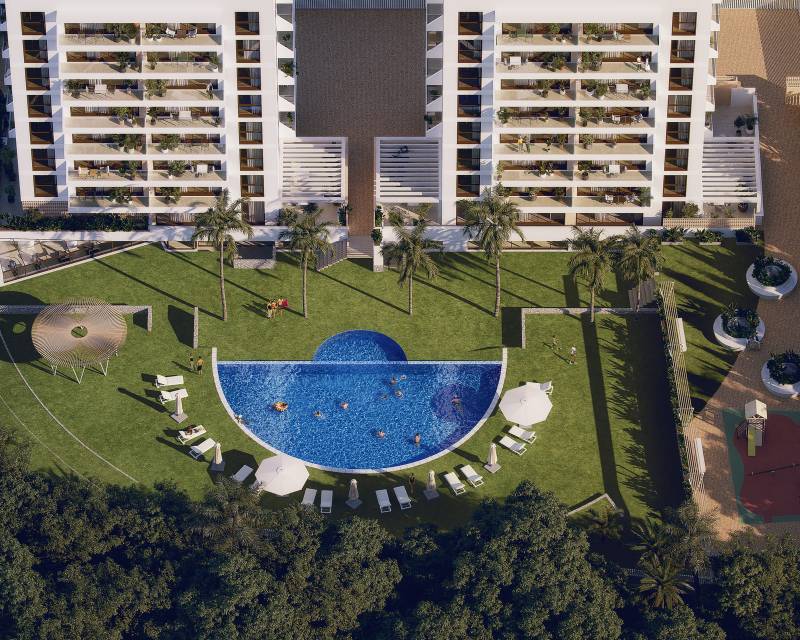 Ático - Nueva construcción  - Guardamar del Segura - Guardamar del Segura