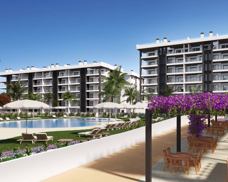 Ático - Nueva construcción  - Torrevieja - Torrevieja
