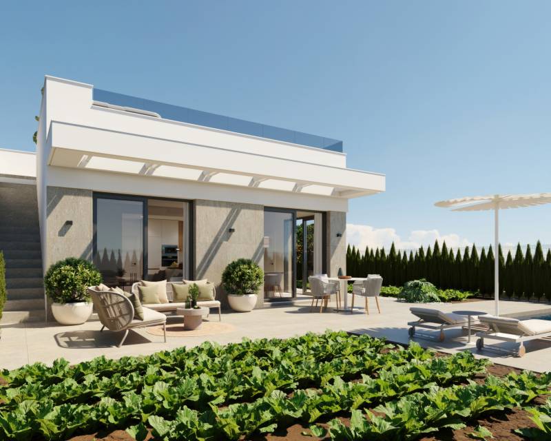 detached - Neubauten - Hacienda del Alamo Golf - Hacienda del Alamo Golf