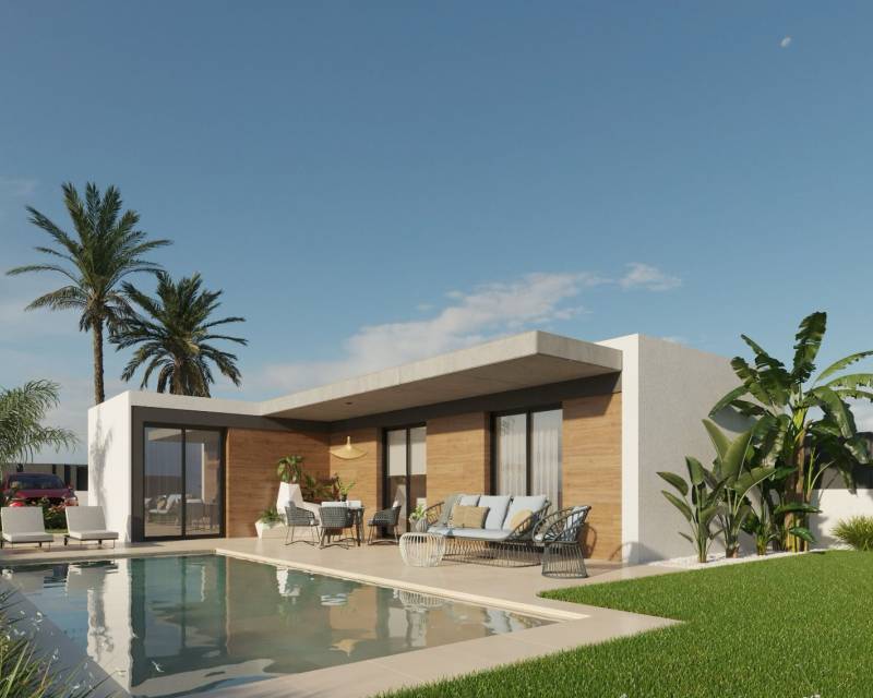 detached - New Build - Molina de Segura - Molina de Segura