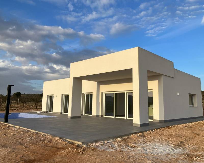 detached - New Build - Pinoso - Pinoso