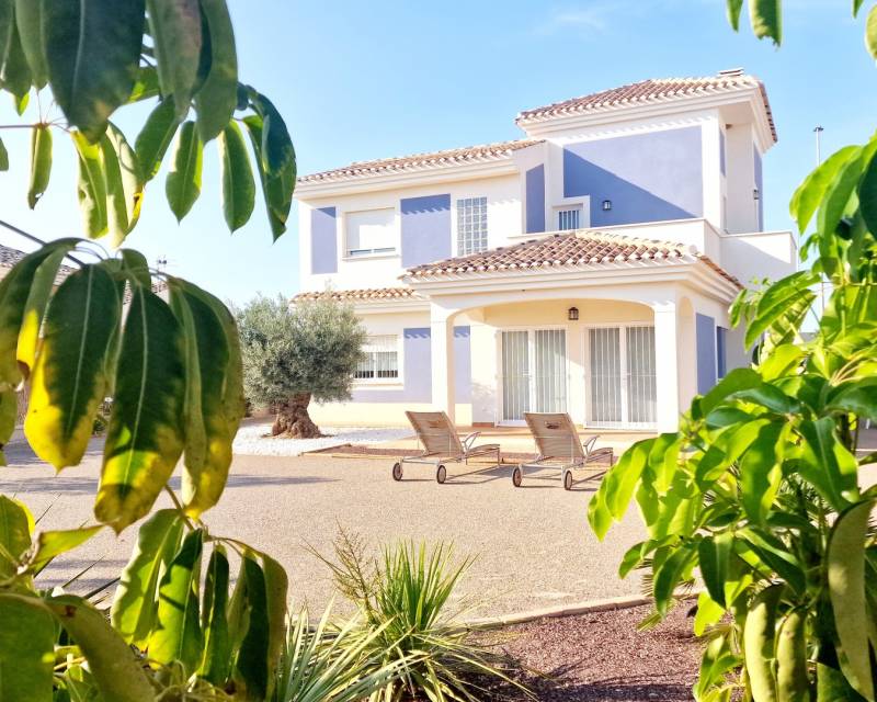 detached - New Build - Purias - Purias