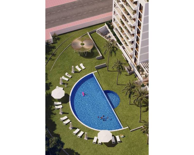 ground-floor - Nueva construcción  - Guardamar del Segura - Guardamar del Segura