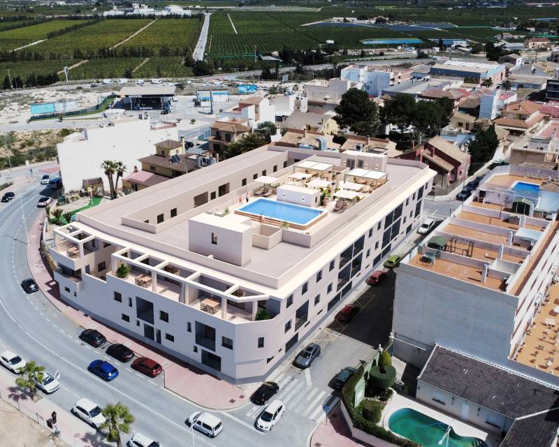 ground-floor - Nueva construcción  - San Miguel de Salinas - San Miguel de Salinas