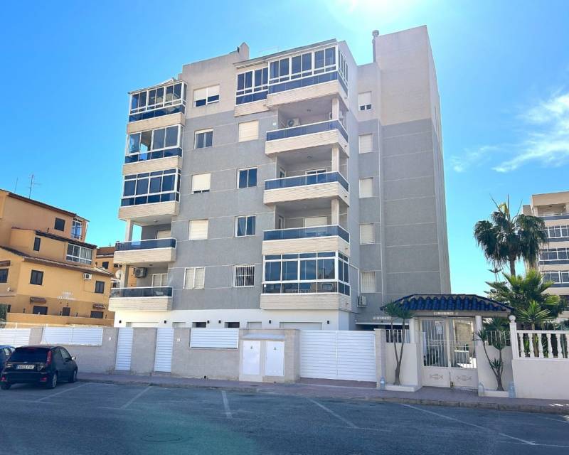 ground-floor - Nueva construcción  - Torrevieja - Torrevieja