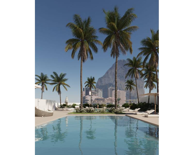 Penthouse - Neubauten - Calpe - Calpe