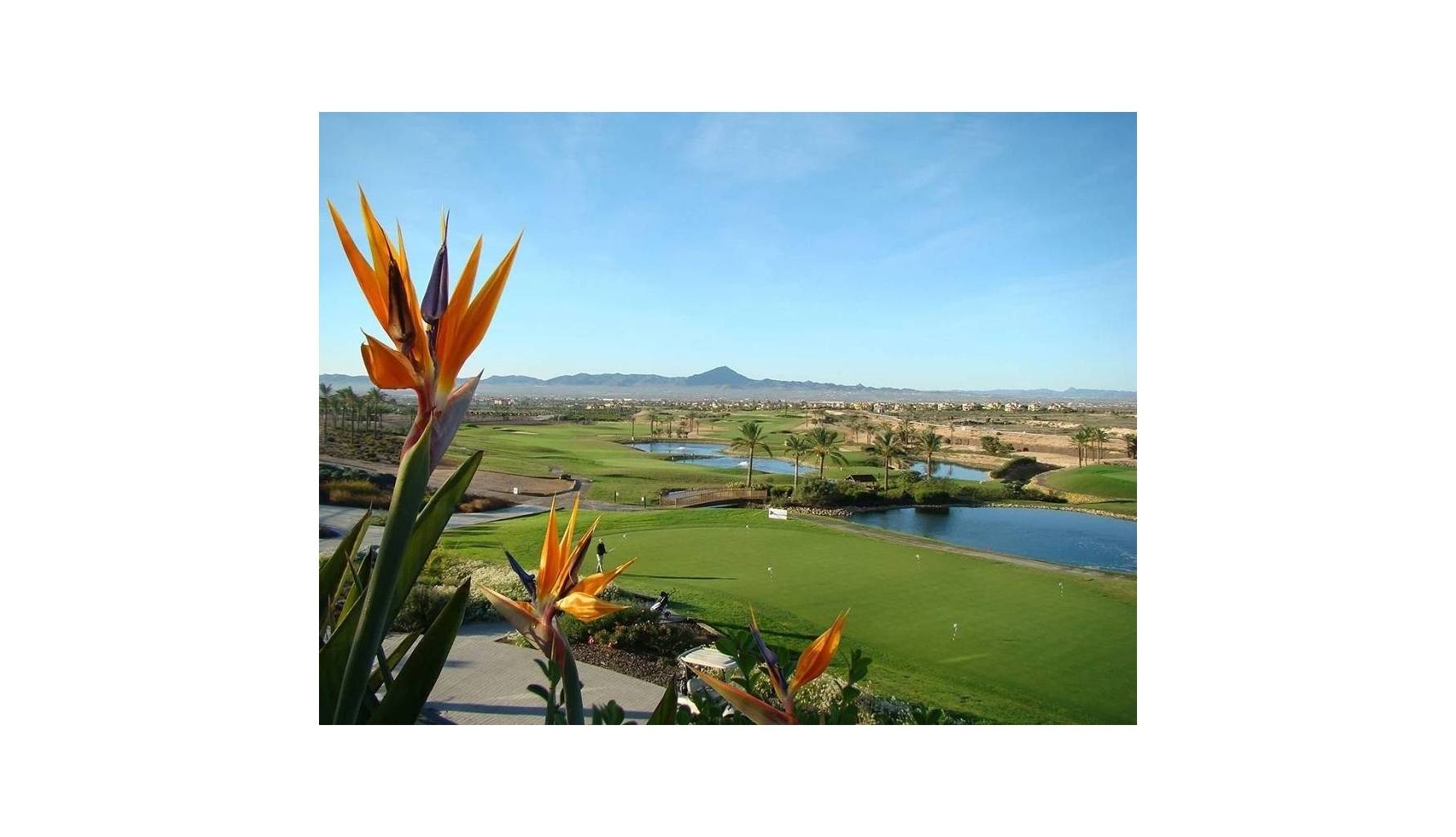 Venta - Apartamento/Piso - Fuente Alamo - Hacienda del Álamo Golf Resort